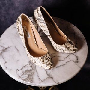 Steve Madden Pietra Natural Snake Print Heels / Pumps  - size 6.5